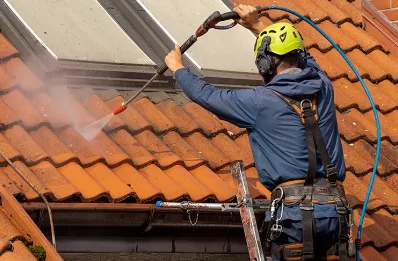Démoussage et hydrofuge de toiture à Landiras